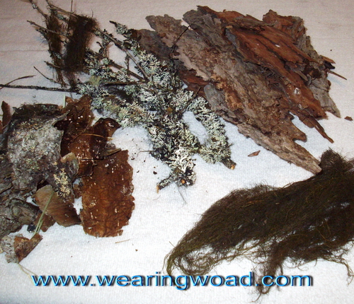 Colour Secrets from the Winter Woods