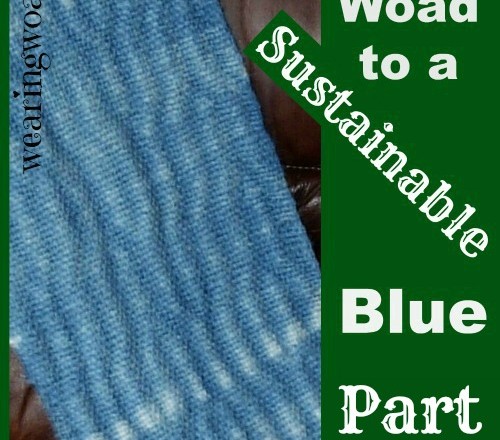 The Woad to a Sustainable Blue Part Four: The Modern View of Woad