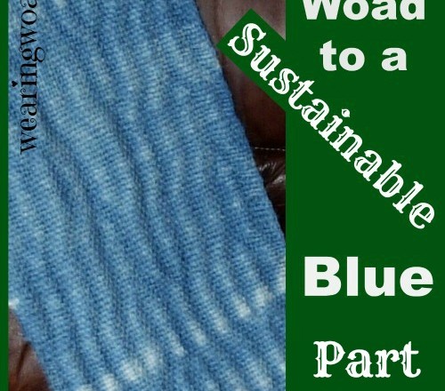 The Woad to a Sustainable Blue Part 3: Advanced Dye Uses of the Woad Plant