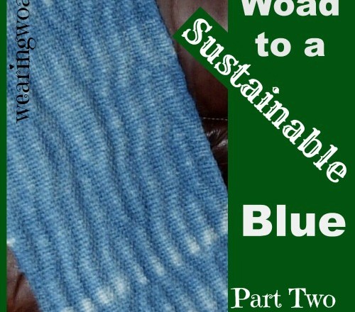 The Woad to a Sustainable Blue: Why Does Woad Matter?
