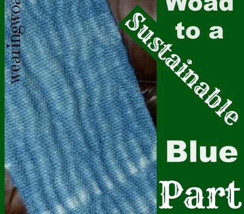The Woad to a Sustainable Blue: An Overview of Woad History from Ancient Egypt to Modern Times