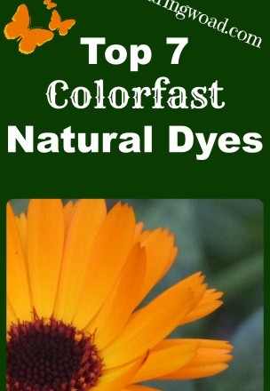 Not So Fugitive Natural Dyes: Top Seven Colorfast Natural Dyes