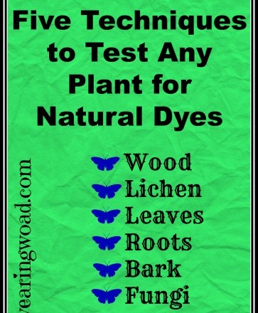 Five Techniques to Test Any Plant for Natural Dye Color