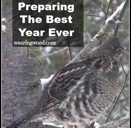 Preparing for the Best Year Ever: Organizing, Planning, and Purposeful Choice