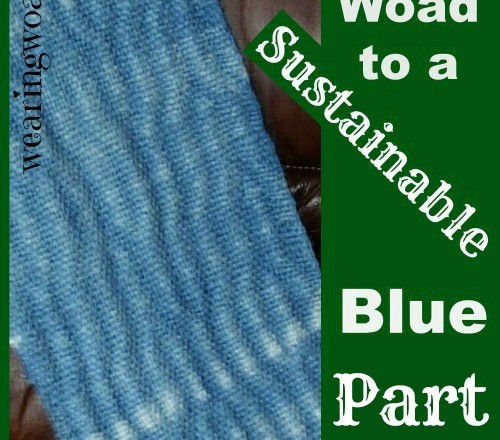 The Woad to a Sustainable Blue Part Six: My Woad Story