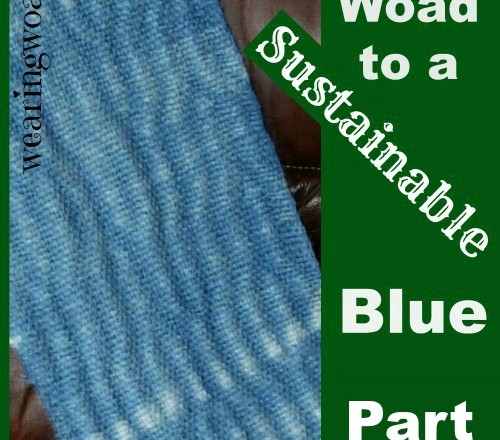 The Woad to a Sustainable Blue Part Nine: How to Grow Woad