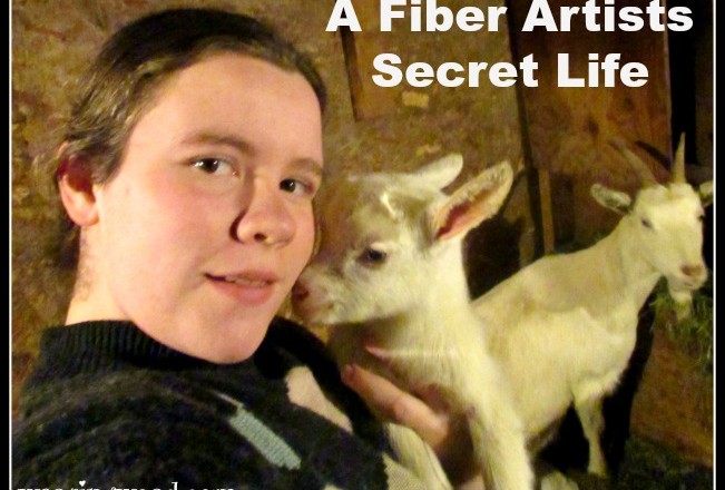 A Fiber Artists Secret Life
