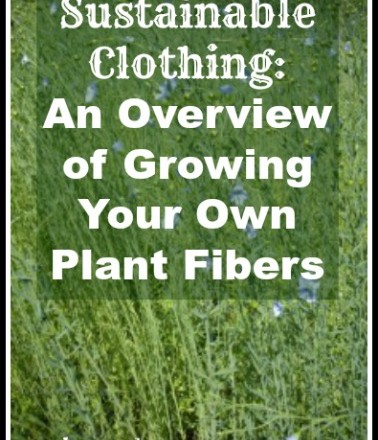 Sustainable Clothing: Growing Your Own Plant Fibers