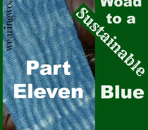 The Woad to a Sustainable Blue Part Eleven: Woad in Herbal Medicine