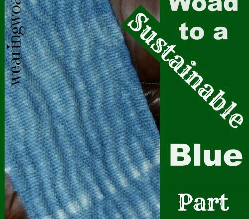 The Woad to a Sustainable Blue Part 12: Woad our Plant Ally