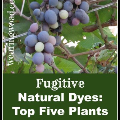 Fugitive Natural Dyes: Top Five Plants to Never Use for Natural Dyes