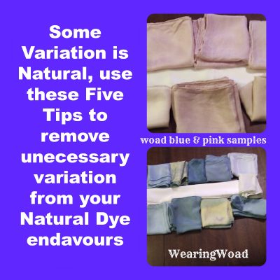 Top Five Tips for Naturally Dyeing Yardage