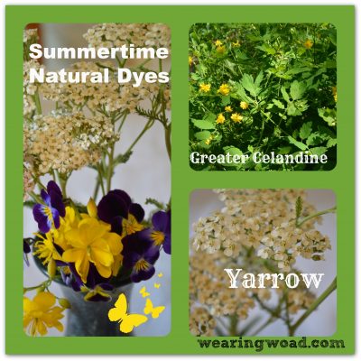 Top Three Late Spring to Summer Natural Dyes