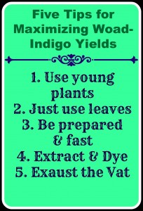 Top five tips for maximizing woad-indigo colour yields