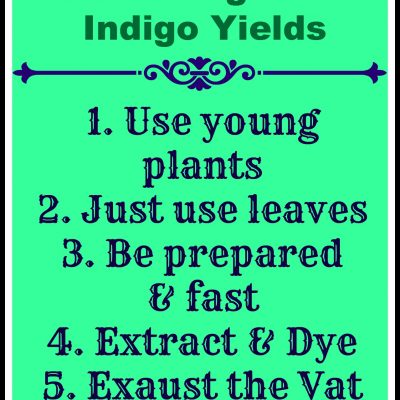 Dyeing with Woad: 5 Tips for Maximum Dye Yield