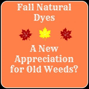 Fall Natural Dyes