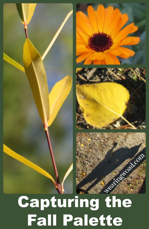 Capturing the fall palette in natural dyes. Summer and Autumn dyes to use to keep the beauty of fall around all year long.