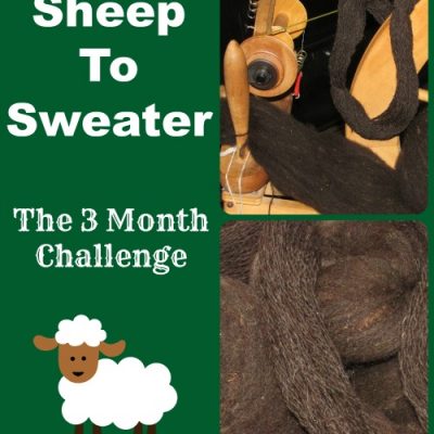 Sheep to Sweater Challenge: The Beginning