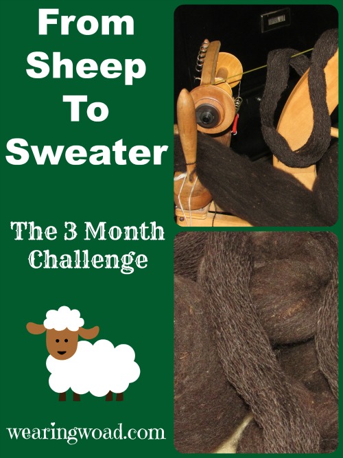 from sheep to sweater