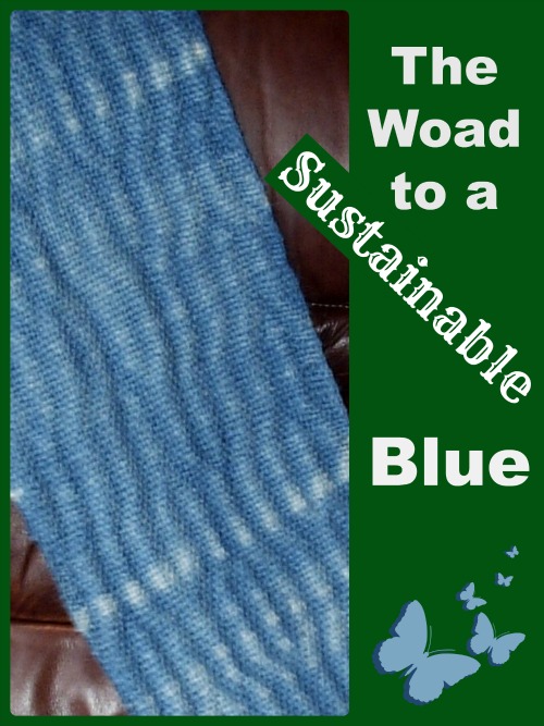 the woad to a sustainable blue part one