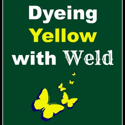 Natural Dyeing Yellow with Weld