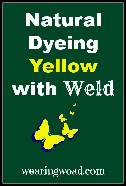 How to naturally dye yellow with Weld