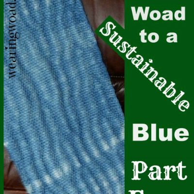 The Woad to a Sustainable Blue Part Four: The Modern View of Woad