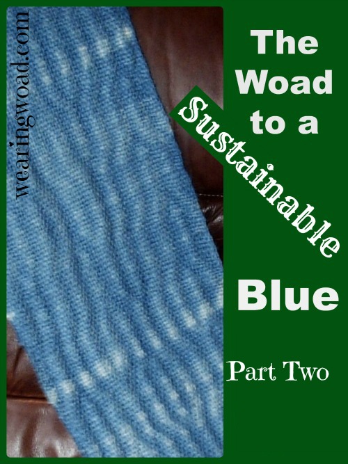 the woad to a sustainable blue part two