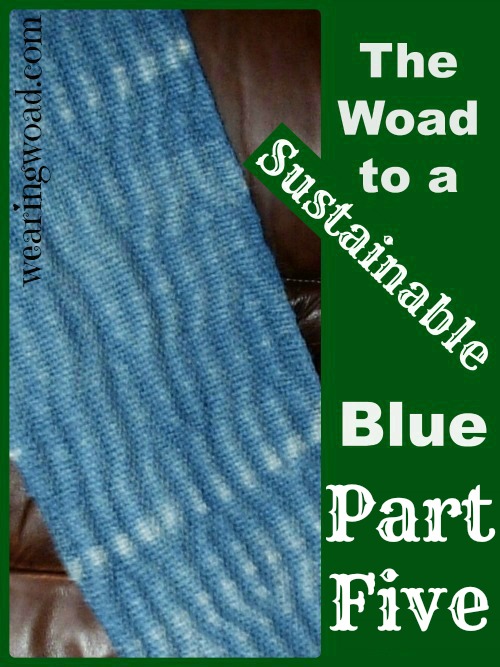 the woad to a sustainable blue_Part Five