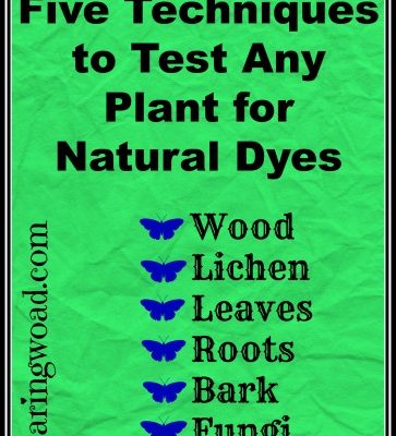 Five Techniques to Test Any Plant for Natural Dye Color