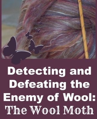 Detecting and Defeating the Enemy of Wool: The Wool Moth