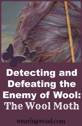 detecting and defeating the enemy of wool_the wool moth