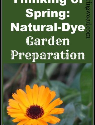 Thinking of Spring: Natural Dye Garden Preparation