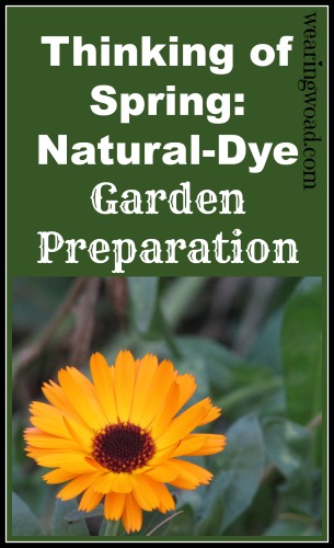 natural dye garden preparation_thinking of spring