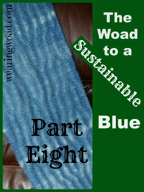the woad to a sustainable blue_Part Eight