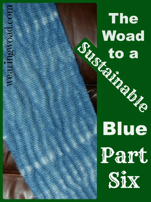 the woad to a sustainable blue_Part Six