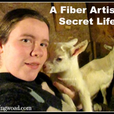 A Fiber Artists Secret Life