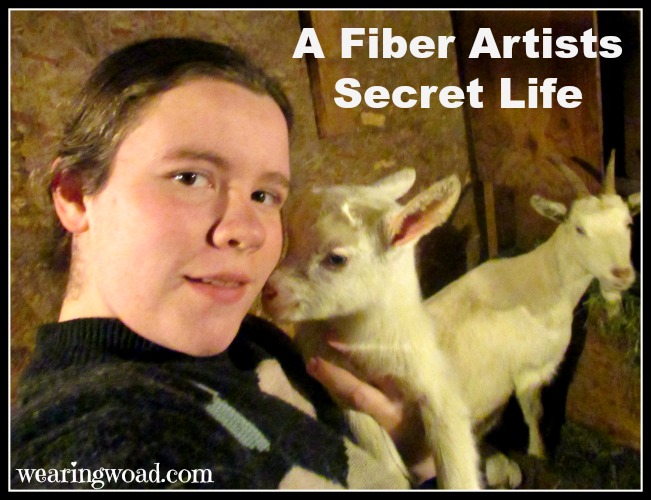 a fiber artists secret life