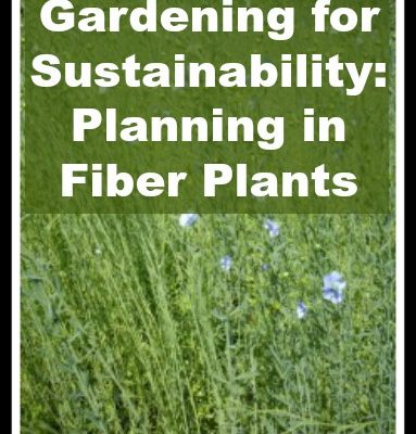Gardening for Sustainability: Planning in the Fiber Plants