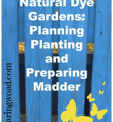 Natural Dye Gardens: Planning, Planting, and Preparing Madder