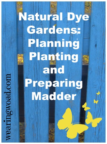 natural dye gardens planning planting and preparing madder