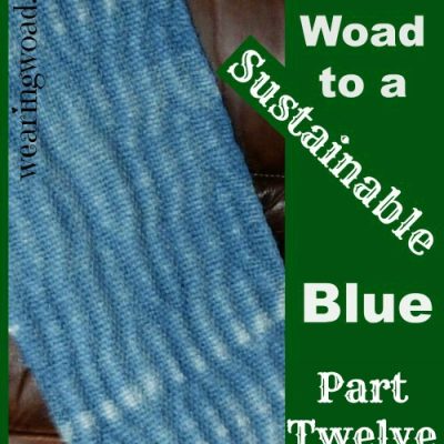 The Woad to a Sustainable Blue Part 12: Woad our Plant Ally