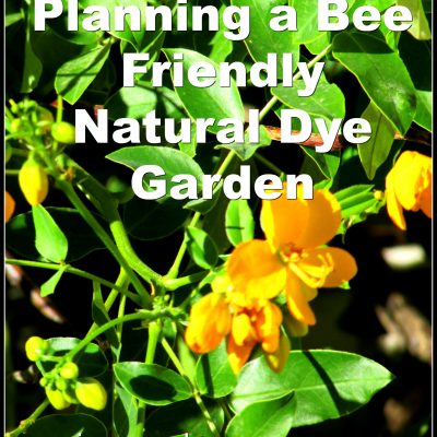 Save the Bees: Bee Friendly Dye Plants